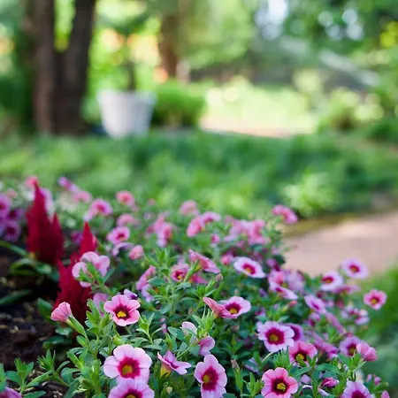 Dei Giardini